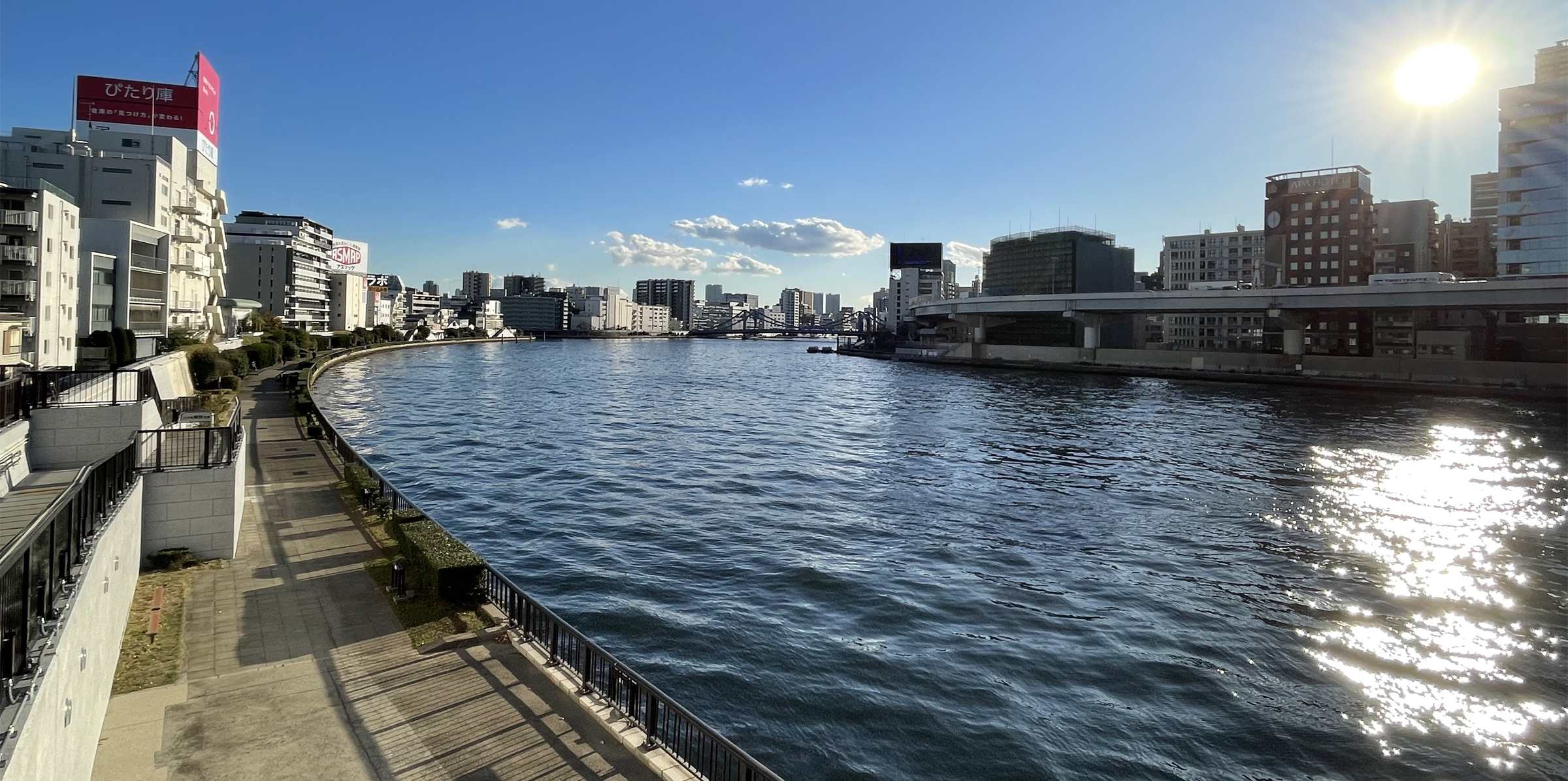 新大橋からの隅田川