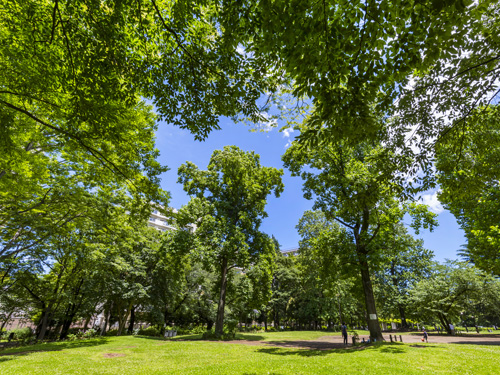 戸山公園（徒歩8分･約550m）