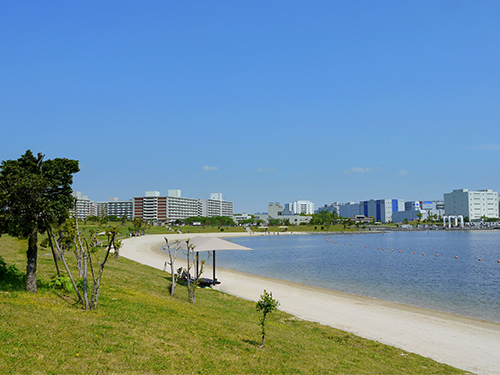 ふるさとの浜辺公園