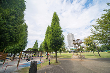 お台場レインボー公園